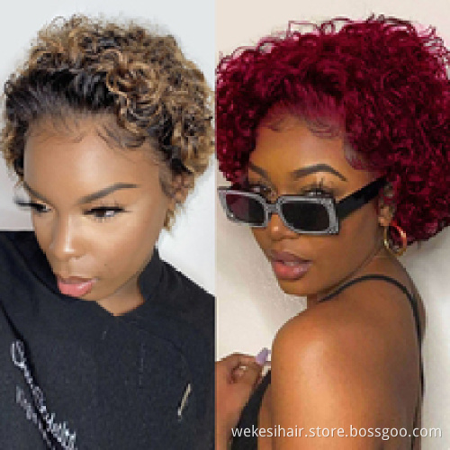 Pixie Cut Wig Short Curly Human Hair Wigs Cheap 13X1 Transparent Lace Wig